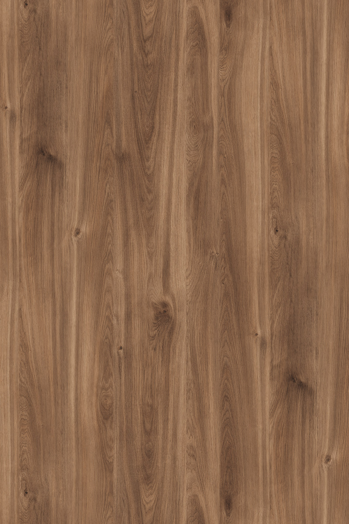 Brandy Castello Oak