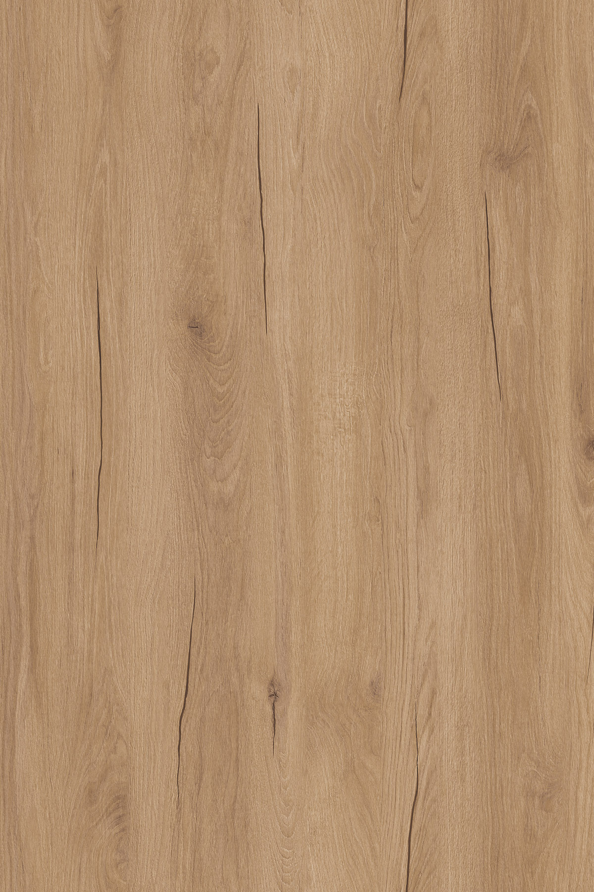Gold Hudson Oak